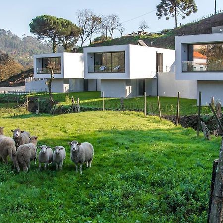 Viana Do Castelo - Amonde Village - Casa L - Disfrute Da Natureza エクステリア 写真