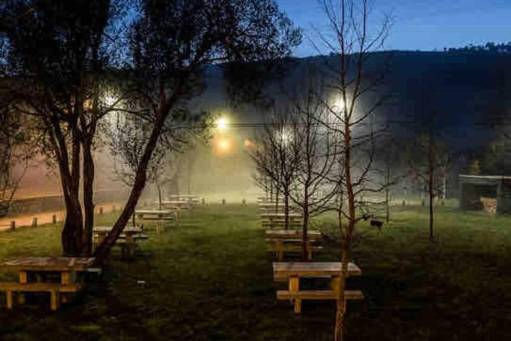 Viana Do Castelo - Amonde Village - Casa L - Disfrute Da Natureza エクステリア 写真