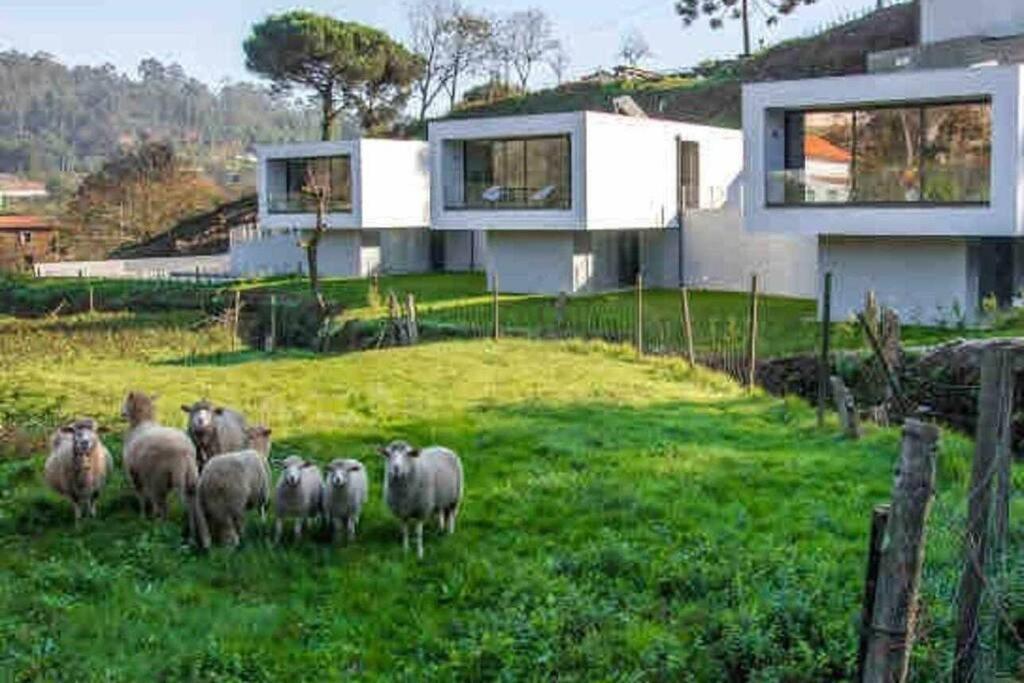 Viana Do Castelo - Amonde Village - Casa L - Disfrute Da Natureza エクステリア 写真