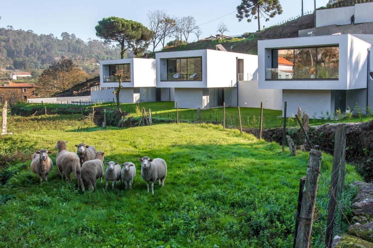 Viana Do Castelo - Amonde Village - Casa L - Disfrute Da Natureza エクステリア 写真